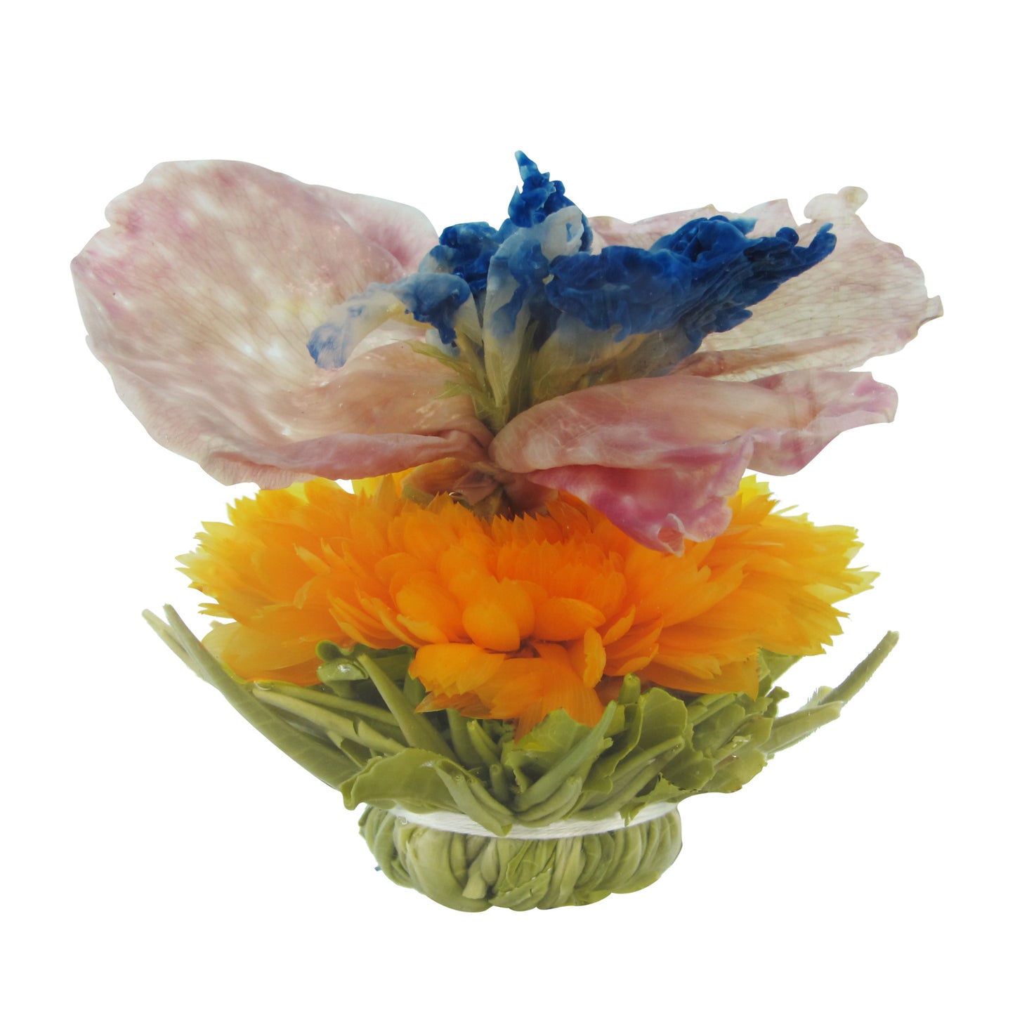 Glory, blooming tea, green tea