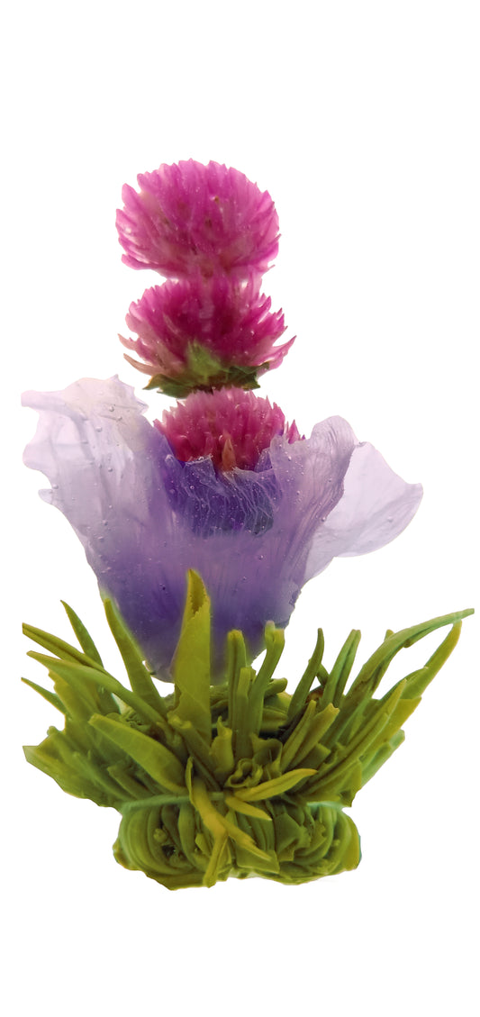 Joy, blooming tea, green tea