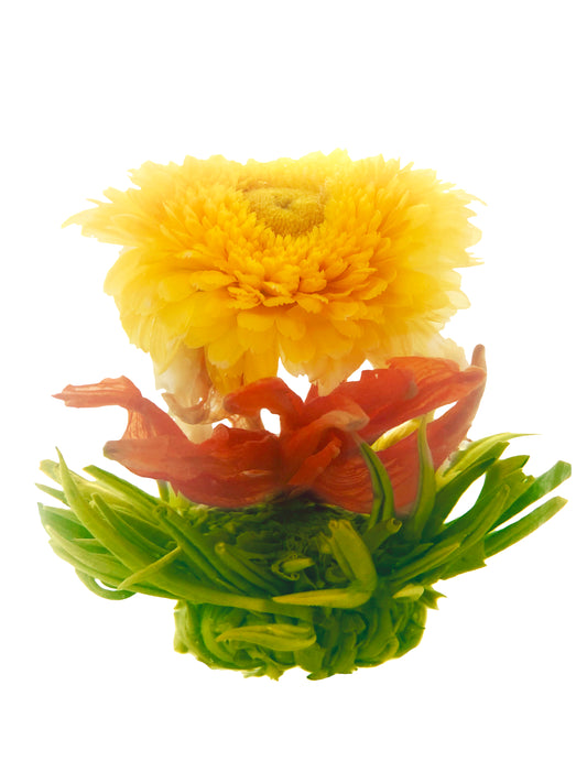 Sunset, blooming tea, green tea