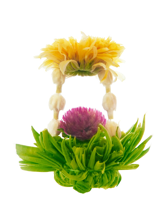 Sunshine, blooming tea, yellow tea